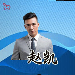 赵凯